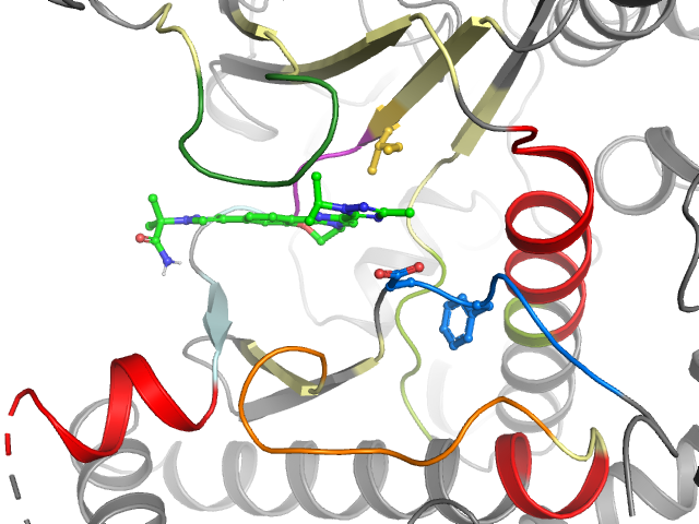 The orthosteric binding pocket