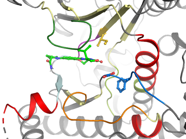 The orthosteric binding pocket