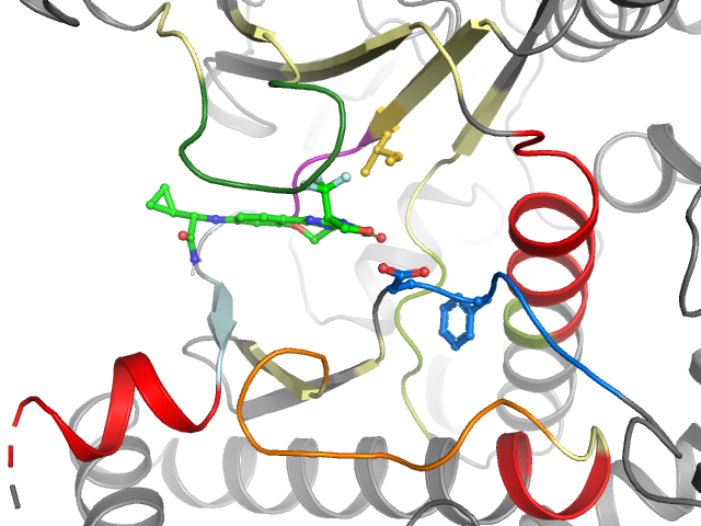 The orthosteric binding pocket