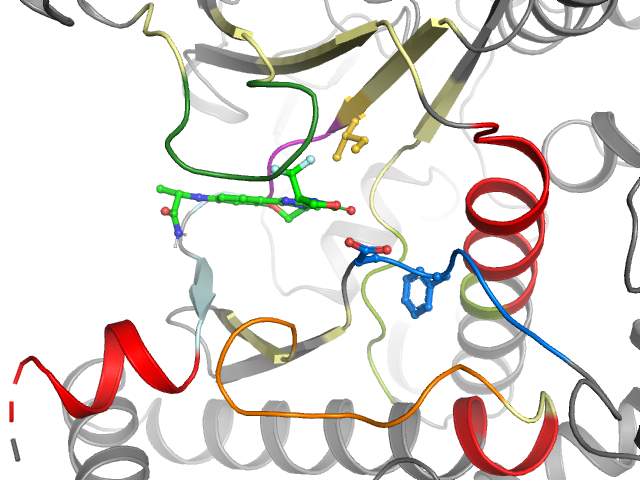 The orthosteric binding pocket