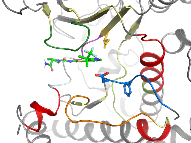 The orthosteric binding pocket