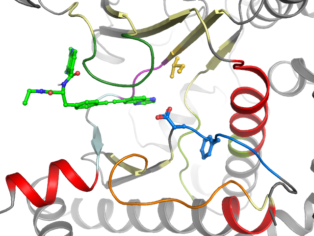 The orthosteric binding pocket