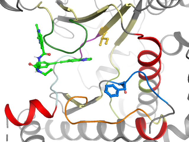 The orthosteric binding pocket