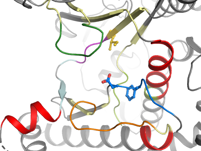 The orthosteric binding pocket