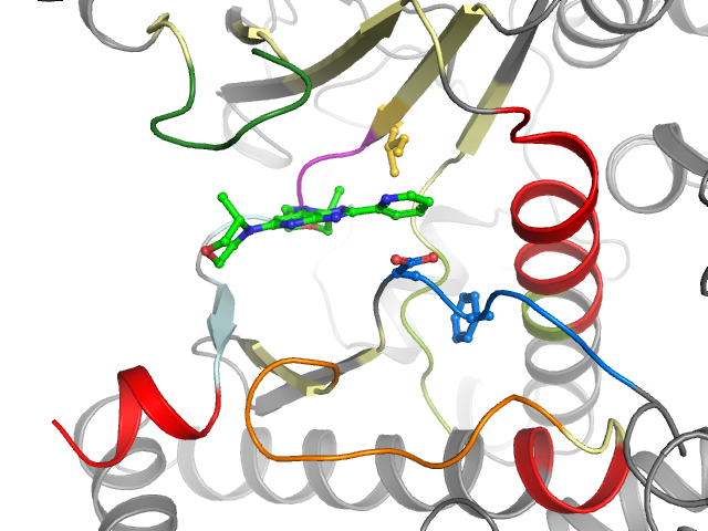 The orthosteric binding pocket