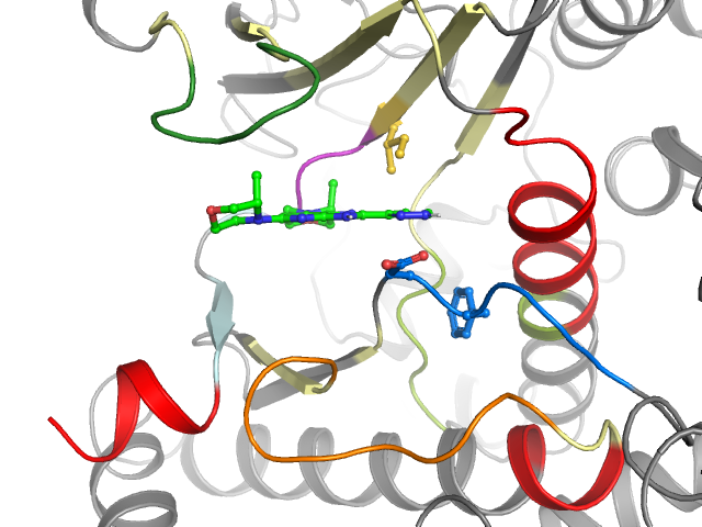 The orthosteric binding pocket