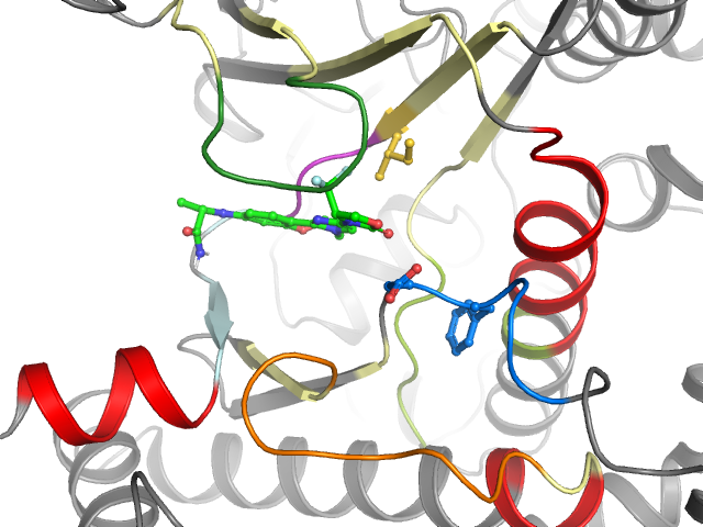 The orthosteric binding pocket