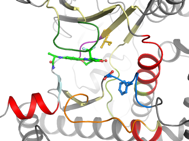 The orthosteric binding pocket