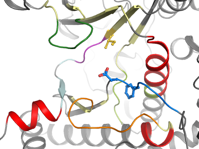 The orthosteric binding pocket