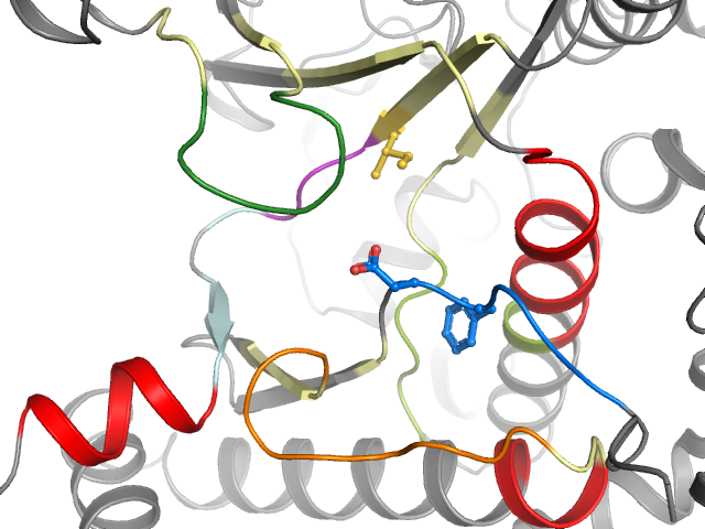 The orthosteric binding pocket