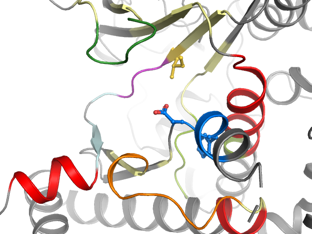 The orthosteric binding pocket