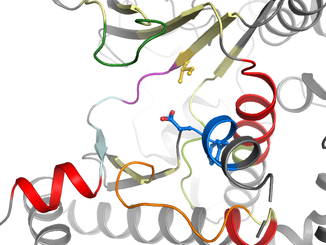 The orthosteric binding pocket