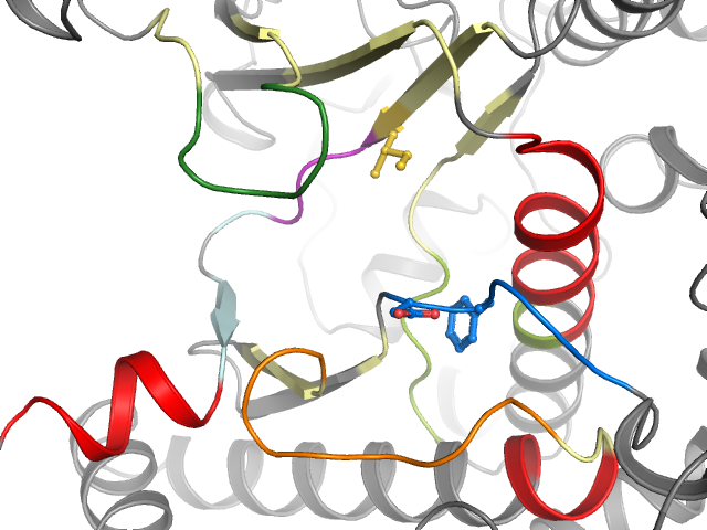 The orthosteric binding pocket