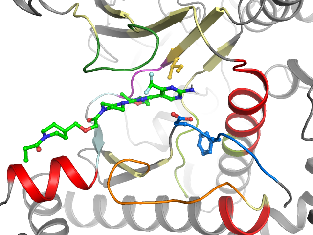 The orthosteric binding pocket