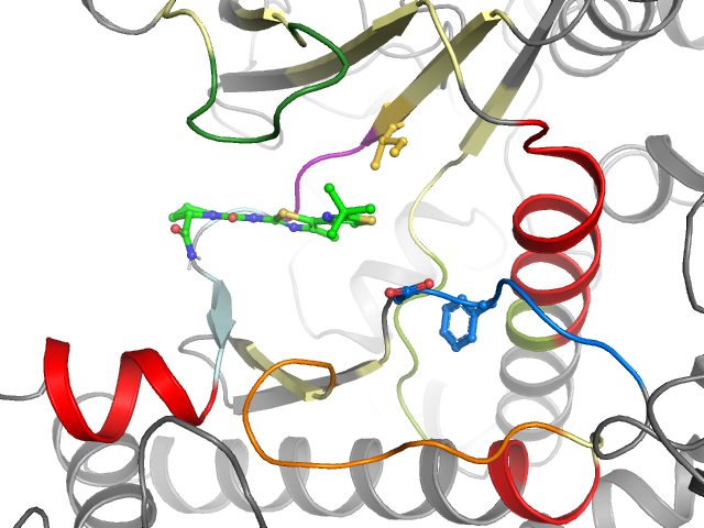 The orthosteric binding pocket