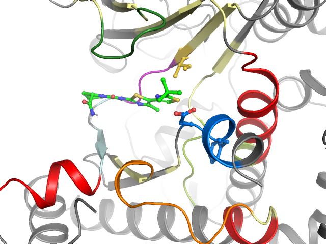 The orthosteric binding pocket
