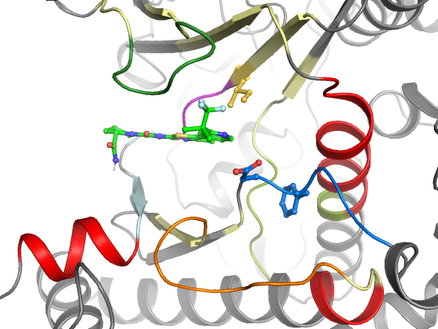 The orthosteric binding pocket