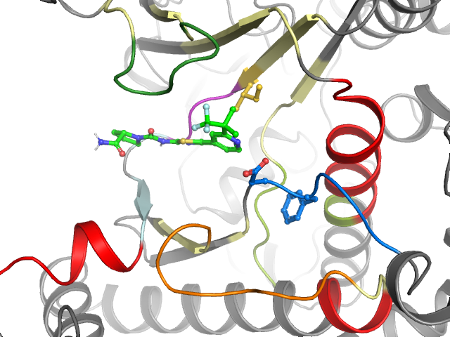 The orthosteric binding pocket