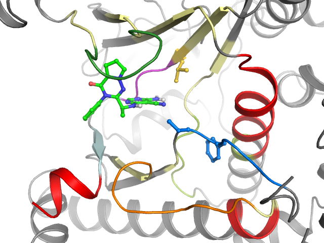 The orthosteric binding pocket