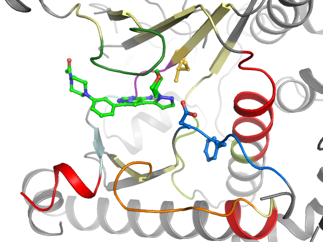 The orthosteric binding pocket