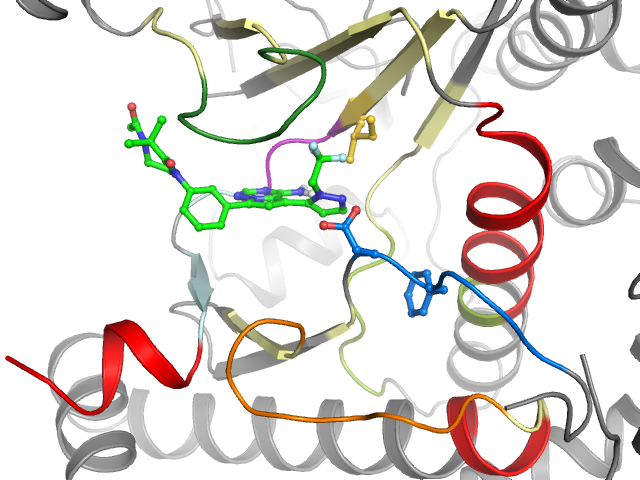 The orthosteric binding pocket