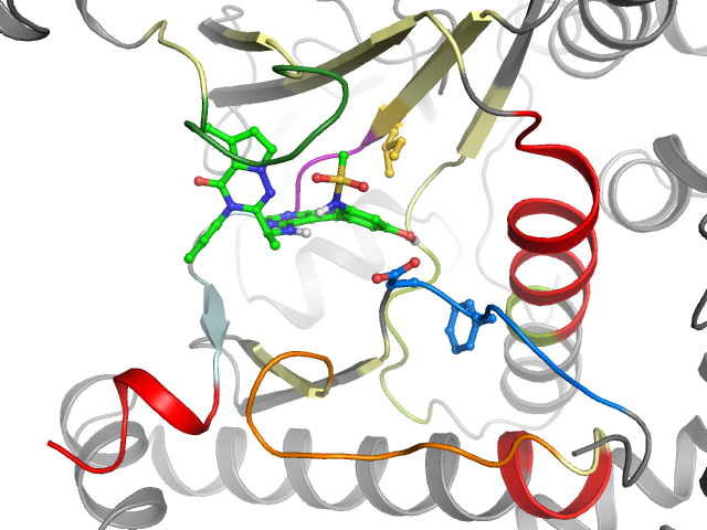 The orthosteric binding pocket