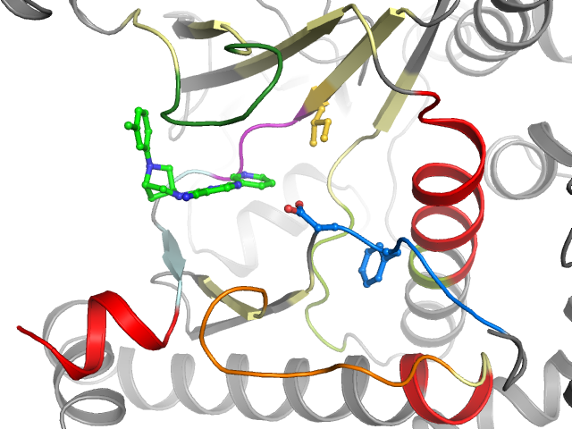 The orthosteric binding pocket