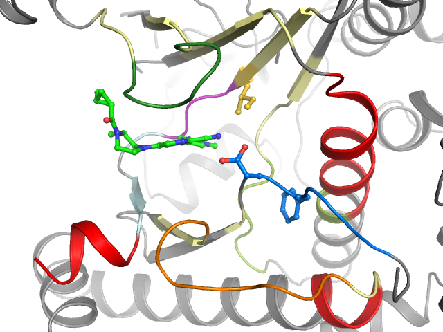 The orthosteric binding pocket