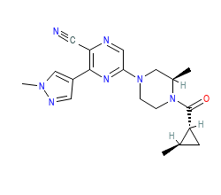 2D structure of the orthosteric ligand