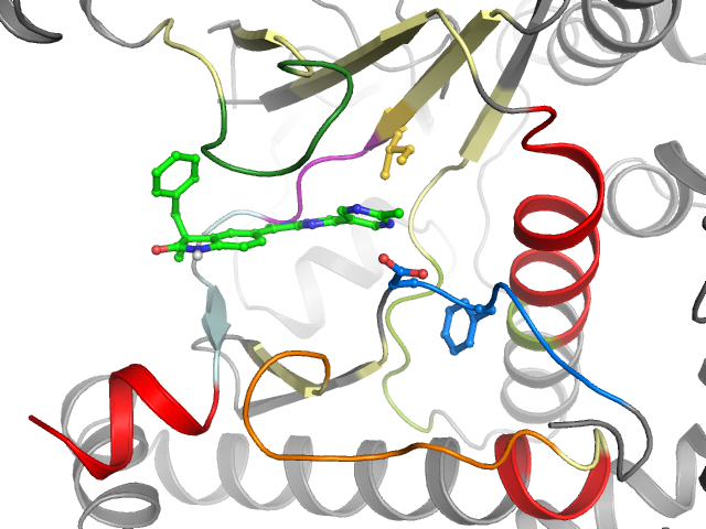 The orthosteric binding pocket