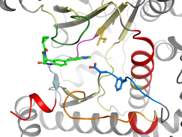 The orthosteric binding pocket