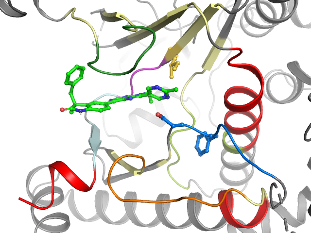 The orthosteric binding pocket