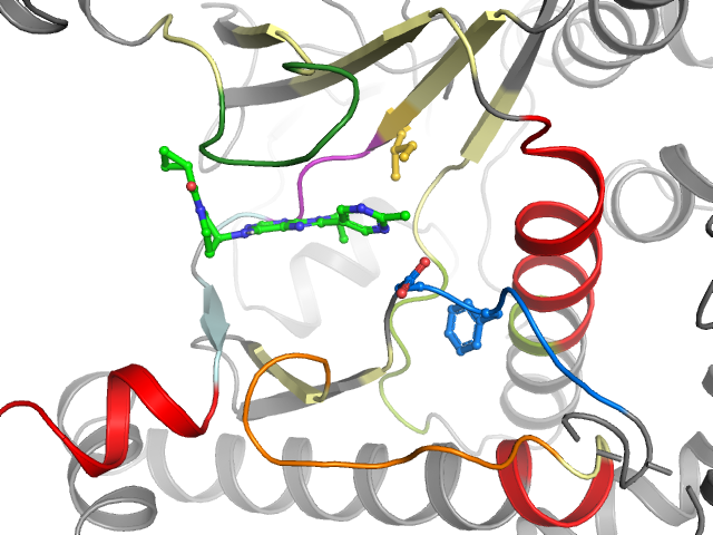 The orthosteric binding pocket