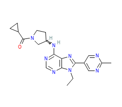 2D structure of the orthosteric ligand