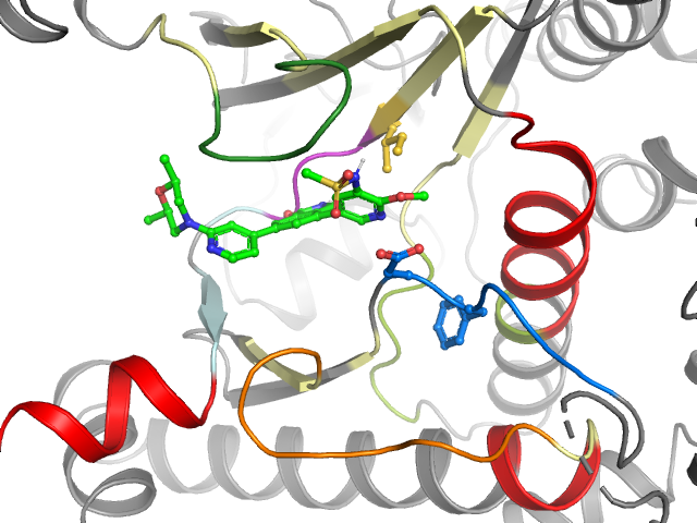 The orthosteric binding pocket