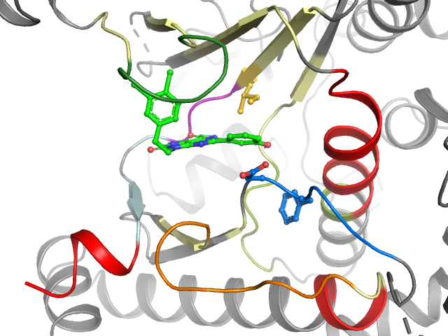 The orthosteric binding pocket