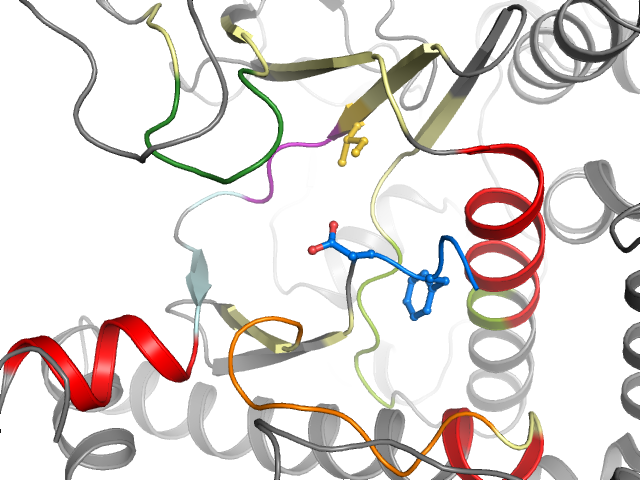 The orthosteric binding pocket