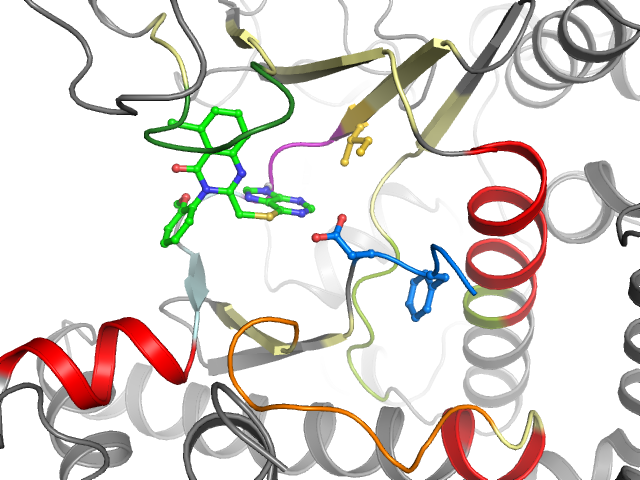 The orthosteric binding pocket