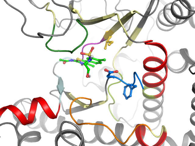The orthosteric binding pocket