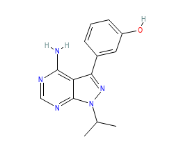 2D structure of the orthosteric ligand