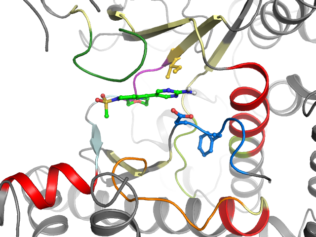 The orthosteric binding pocket