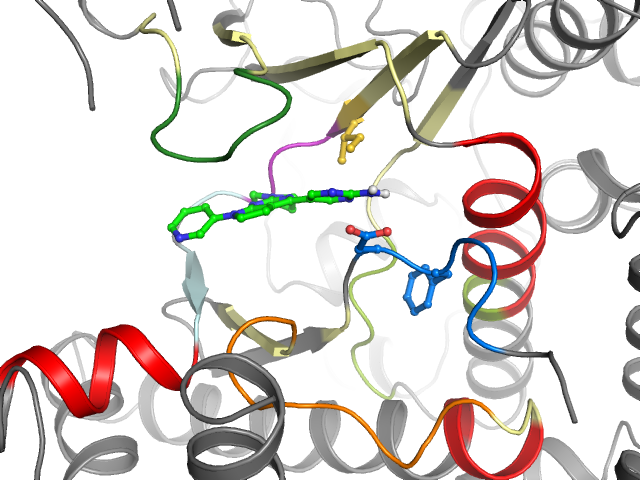 The orthosteric binding pocket