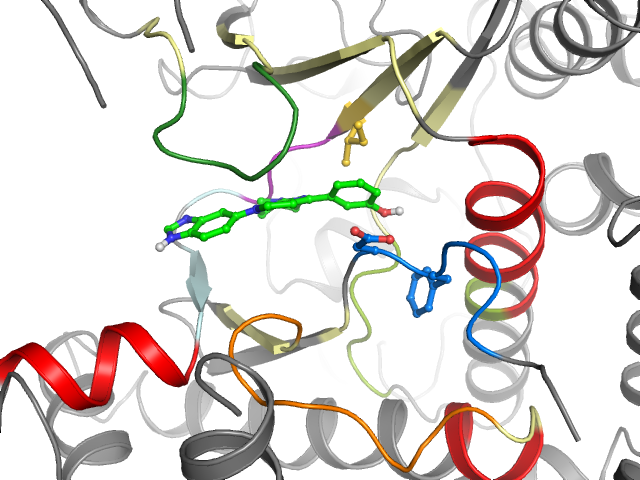 The orthosteric binding pocket