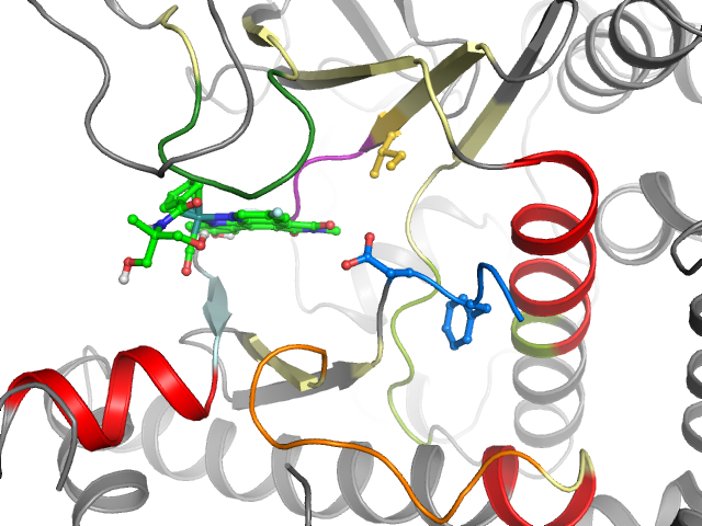 The orthosteric binding pocket