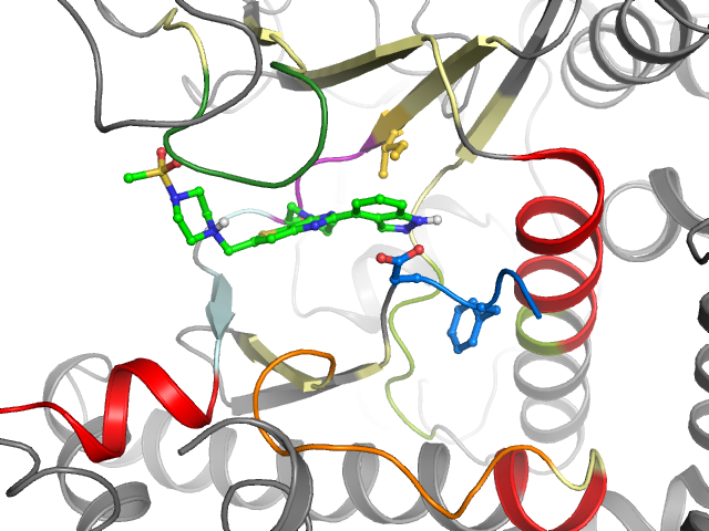 The orthosteric binding pocket