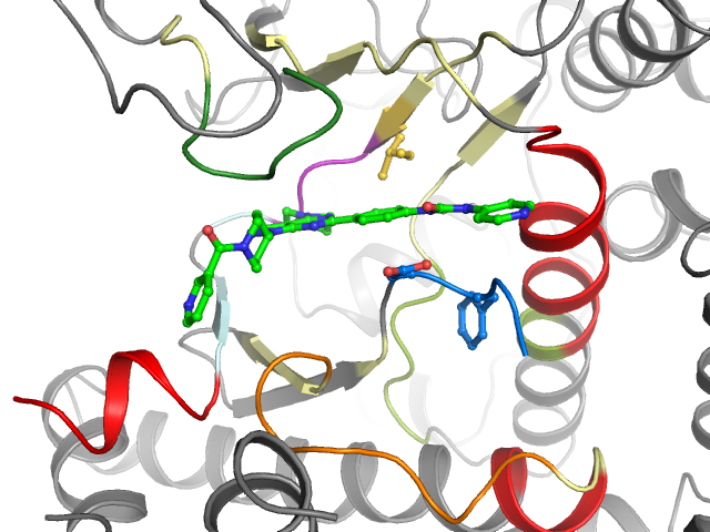 The orthosteric binding pocket