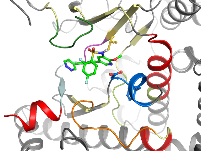 The orthosteric binding pocket