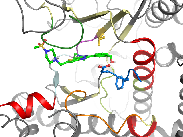 The orthosteric binding pocket