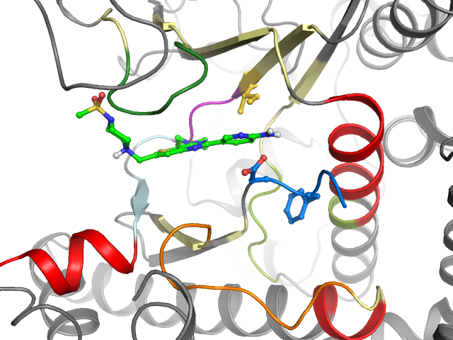 The orthosteric binding pocket