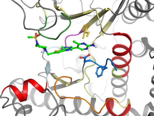 The orthosteric binding pocket